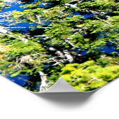 エメラルドベイアットレイクタホ ポスター (角)