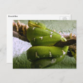 エメラルドボア ポストカード (正面/裏面)