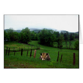 エメラルド分野の保護者