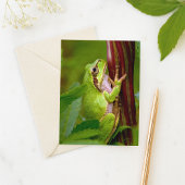 エメラルド抱擁 ポストカード