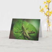 エメラルド陛下：バッタエレガントッパー カード (黄色い花)