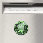 エメラルド1 マグネット (インサイチュ (食洗機))