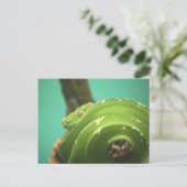 エメラルド ポストカード (スタンド正面)