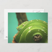 エメラルド ポストカード (正面/裏面)