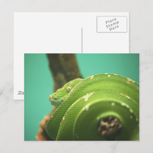 エメラルド ポストカード (正面/裏面)