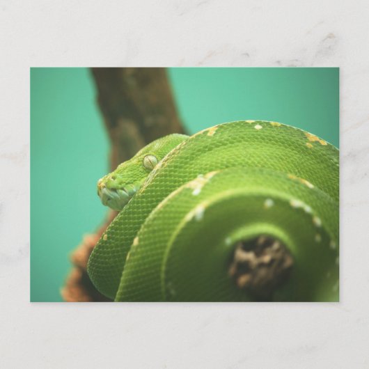 エメラルド ポストカード (正面)