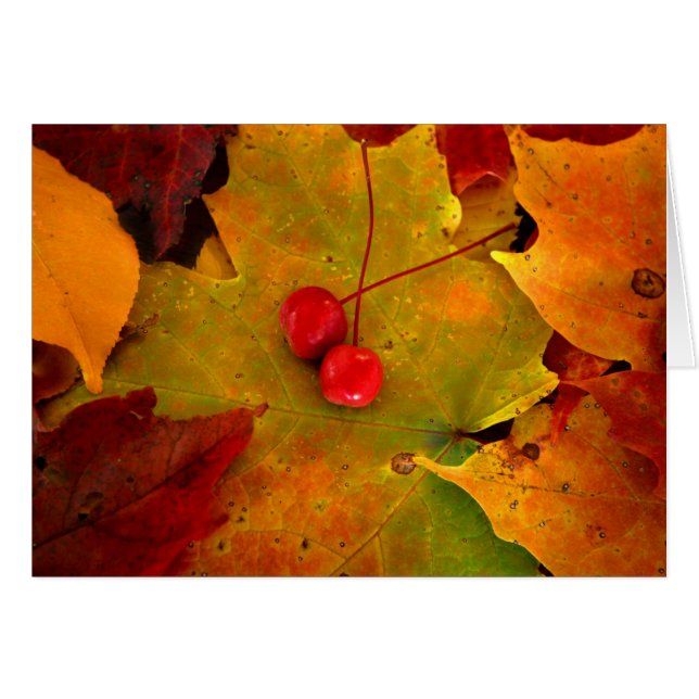 エメリーのポーチII (正面横)