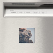 エヤフジャルジョクル火山噴火 マグネット (インサイチュ (食洗機))