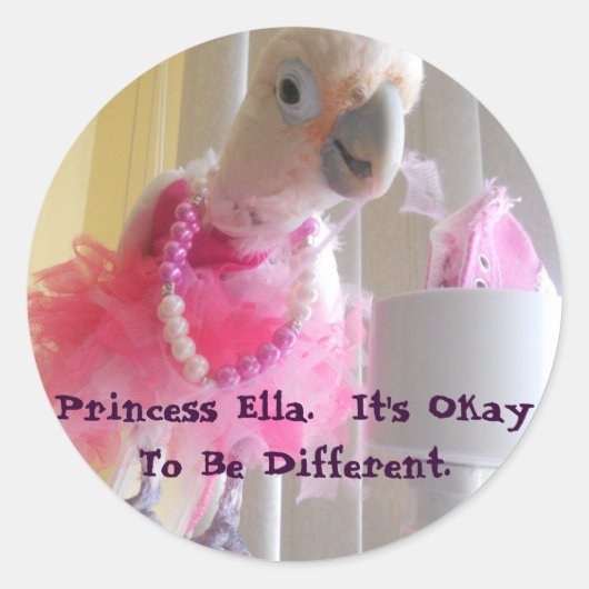 エラステッカー ラウンドシール (正面)