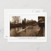 エラスモサウルスの贈り物 ポストカード (正面/裏面)