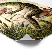 エラビクトリアンガエルTOADSTOOL広告 ポスター (角)