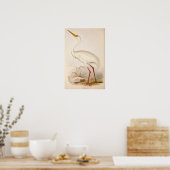 エラビクトリアンホワイトクレーン ポスター (キッチン)