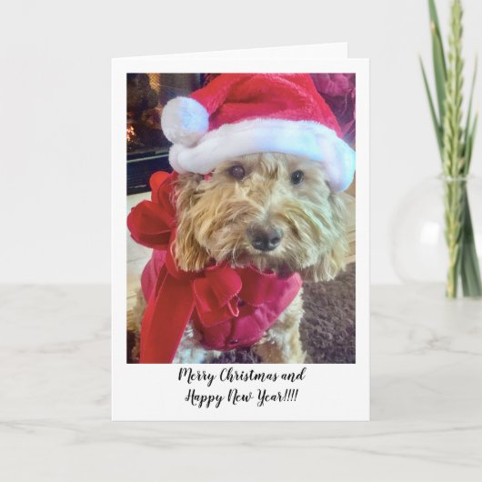 エラベラバナナサンタ サンキューカード (正面)