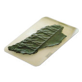 エラマイト戦士の行列，スーサ，イラン，エラミット マグネット (左側)