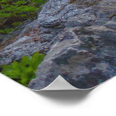 エラ秋アットセコイア国立公園 ポスター (角)