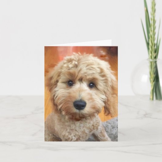 エラ・ベラ・バナナの子犬を間近で捕まえる サンキューカード (正面)