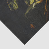 エリアスヴァンデンBroeck、まだ生活バラTissu 薄葉紙 (詳細)