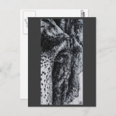 エリエレファントアジア野生動物ジャングル動物アート ポストカード (正面/裏面)