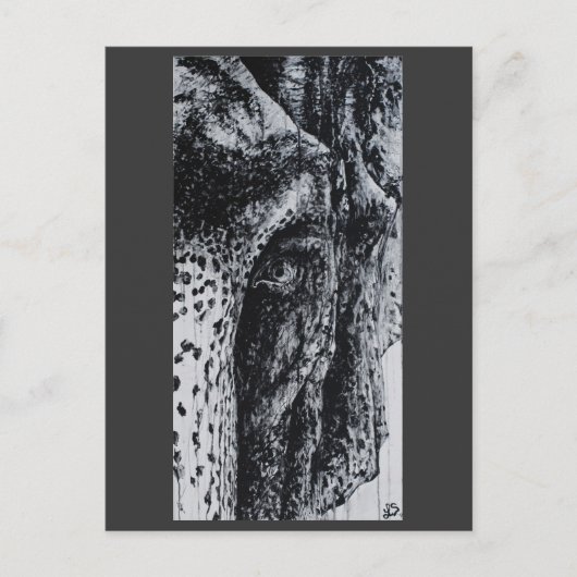 エリエレファントアジア野生動物ジャングル動物アート ポストカード (正面)