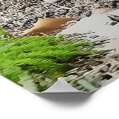 エリオットフェアサン ポスター (角)