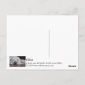 エリオット ポストカード (裏面)