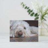 エリオット ポストカード (スタンド正面)