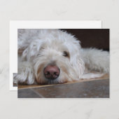 エリオット ポストカード (正面/裏面)