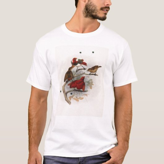 エリオット- Cicinnurus regius -王極楽鳥 Tシャツ (正面)