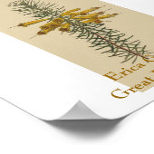 エリカ・グランディフローラ。花素晴らし咲きヒース ポスター (角)