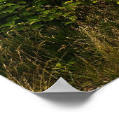 エリガル ポスター (角)