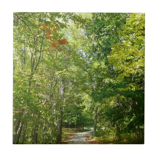 エリコットシティの自然 Centennial Wooded Path I タイル (正面)