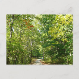 エリコットシティの自然 Centennial Wooded Path I ポストカード