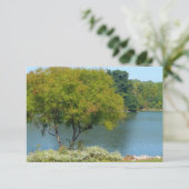 エリコットシティメリーランド州100周年湖 (スタンド正面)