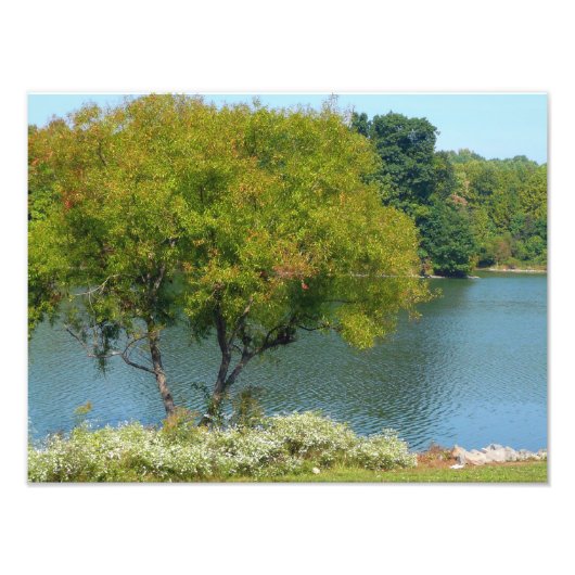 エリコットシティメリーランド州100周年湖 フォトプリント            (正面)