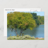 エリコットシティメリーランド州100周年湖 ポストカード (正面/裏面)