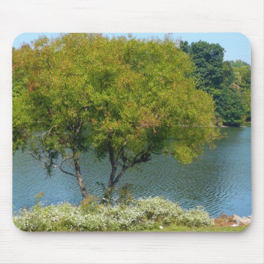 エリコットシティメリーランド州100周年湖 マウスパッド (正面)