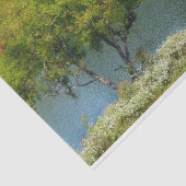 エリコットシティメリーランド州100周年湖 薄葉紙 (詳細)