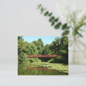 エリコット市の100周年の湖で橋 (スタンド正面)