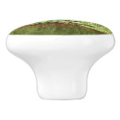 エリコット市の100周年の湖で橋 セラミックノブ (側面)