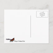 エリコット市の100周年の湖で橋 ポストカード (裏面)