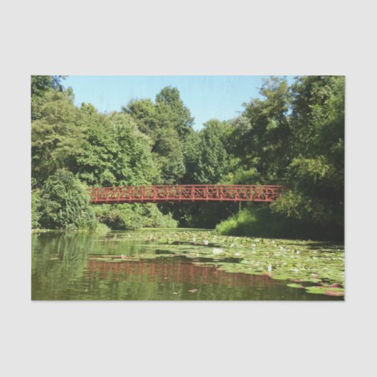 エリコット市の100周年の湖で橋 薄葉紙 (正面)