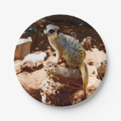 エリザクイーンオブザメルカツ，紙パーティープレート ペーパープレート (正面)