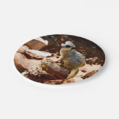 エリザクイーンオブザメルカツ，紙パーティープレート ペーパープレート (アングル)