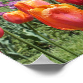 エリザベスパークガーデンズハートフォードCTオレンジチューリップ ポスター (角)