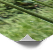 エリザベスパークガーデンズハートフォードCTオレンジチューリップ ポスター (角)