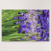 エリザベスパークガーデンズ開花パープルアイリス ジグソーパズル (横)