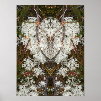 エリザベス女王の第1回地衣類ポスター ポスター