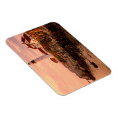 エリザベス岬 |ポートランドヘッドライト |メイン マグネット (右側)