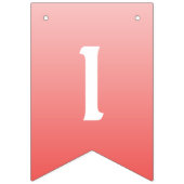 エリザベス・ウォーレン・パーティー・バナー バンティングフラッグ (第3の旗)