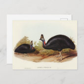 エリザベス・グールドによるオーストラリアのカソウィル ポストカード (正面/裏面)